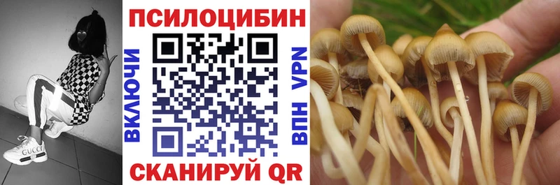 Галлюциногенные грибы Psilocybe  Ивантеевка 
